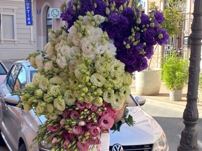 Lizijantus prodaja rezani cvet