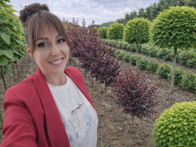 Ukrasne i vocne sadnice Rasadnik Prestiž