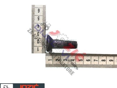 Vijak imbus strižne kose 10x38 Dubrava Srbija