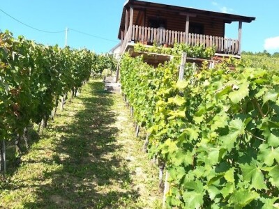 Vikend kuća - Radoboj