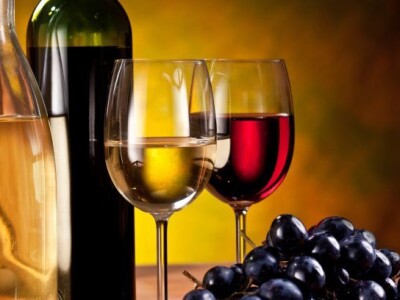 HACCP dokumentacija i tehnoloski saveti