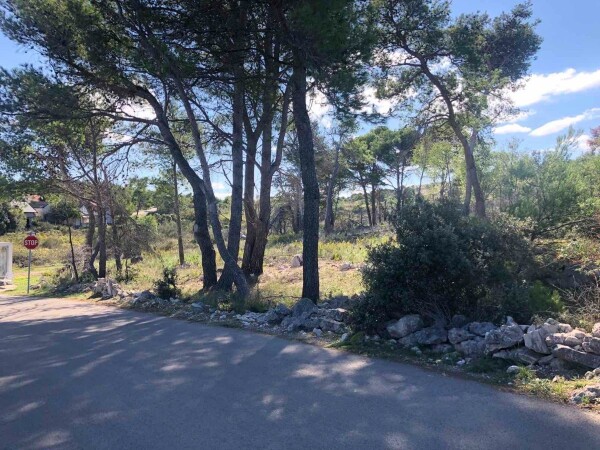 Vir, poljoprivredno zemljište u centru Lozica, 25 EUR