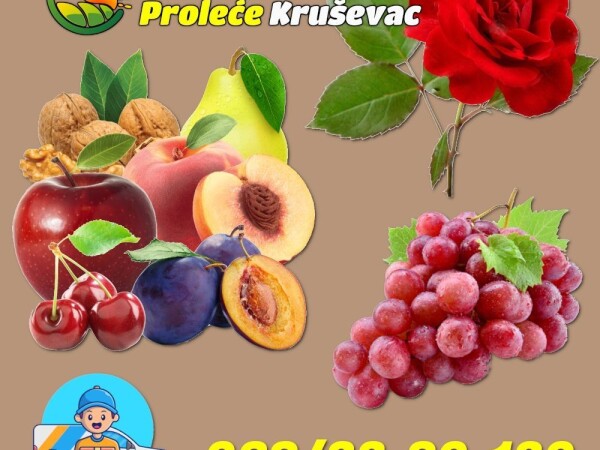 Voćne Sadnice - Rezervacije sadnica za prolećnu sadnju 2022