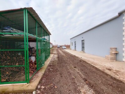 Voćnjak kajsija površine 9,3ha u Pavlovcima, pored Rume!