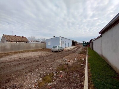 Voćnjak kajsija površine 9,3ha u Pavlovcima, pored Rume!