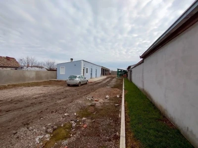 Voćnjak kajsija površine 9,3ha u Pavlovcima, pored Rume!