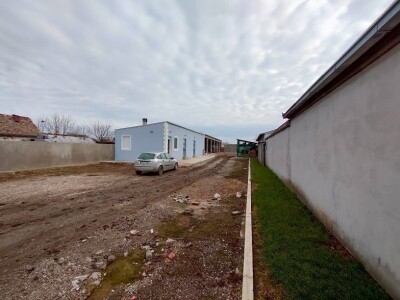 Voćnjak kajsija površine 9,3ha u Pavlovcima, pored Rume!