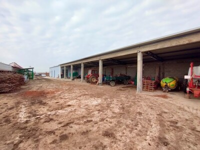 Voćnjak kajsija površine 9,3ha u Pavlovcima, pored Rume!