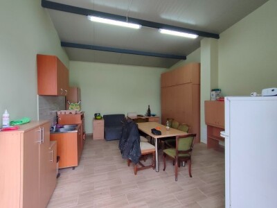 Voćnjak kajsija površine 9,3ha u Pavlovcima, pored Rume!