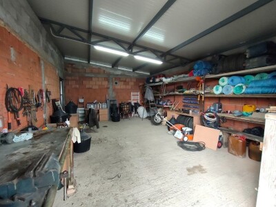 Voćnjak kajsija površine 9,3ha u Pavlovcima, pored Rume!