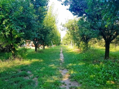 Voćnjak + kuća + pomoćne zgrade + strojevi (26.539 m2) - Tenja