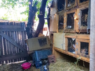 Voćnjak + kuća + pomoćne zgrade + strojevi (26.539 m2) - Tenja