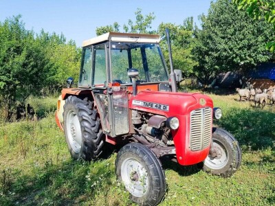 Voćnjak + kuća + pomoćne zgrade + strojevi (26.539 m2) - Tenja