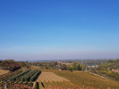 Voćnjak na prodaju - POVOLJNO!