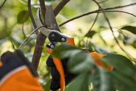 Vrtne škare STIHL Bypass PG 30 - profesionalna izvedba