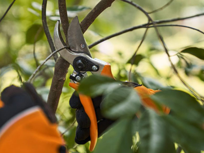 Vrtne škare STIHL Bypass PG 30 - profesionalna izvedba