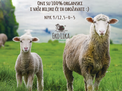 WOOLEE eko organsko gnojivo - 2 L