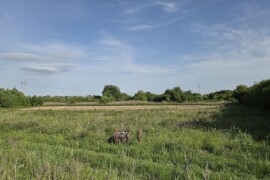 Zagreb, Žitnjak, 8294 m2, idealno za poljoprivrednu proizvodnju u mirnom okruženju blizu naselja