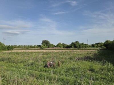 Zagreb, Žitnjak, 8294 m2, idealno za poljoprivrednu proizvodnju u mirnom okruženju blizu naselja