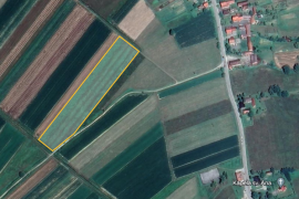 Bratina (ZG Županija)