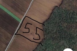 Zemljište u Grabovcima - 5,5 jutara