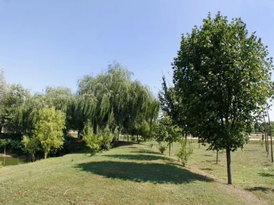 Zemljište sa dva ribnjaka i nasadom paulovnije