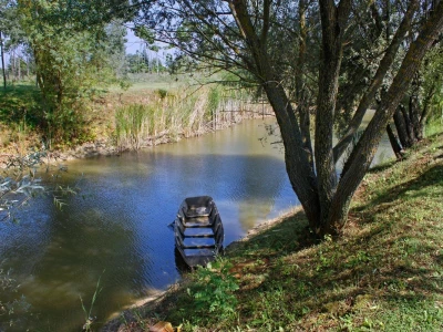 Zemljište sa dva ribnjaka i nasadom paulovnije