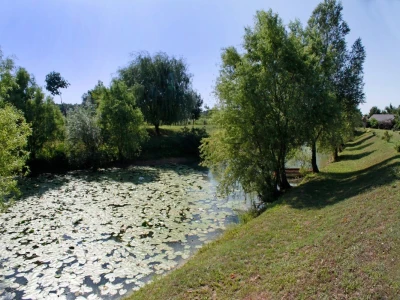 Zemljište sa dva ribnjaka i nasadom paulovnije