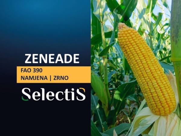 ZENEADE - SelectiS hibrid kukuruza