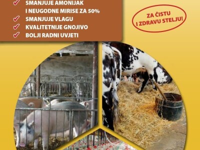 Zeolit-klinoptilolit