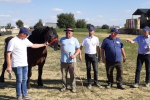 Hrvatski posavac Patrik 329 šampion Gudovca