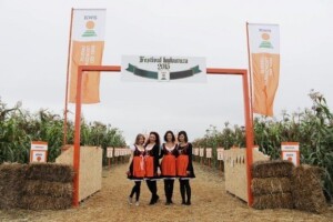 KWS kukuruzni kamp 2015