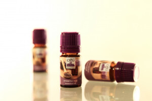 OPG Robert Poturica - uzgoj lavande