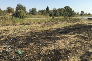 Požari: Ponjavica, Mali vršački rit, Carska bara