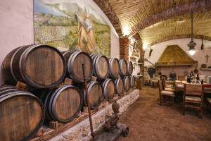 Muzej pelješke tradicije