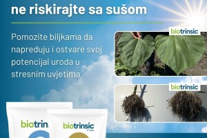 Indigo Biotrinsic i30 FP - biološki tretman sjemena