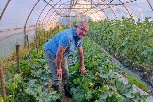 Tomica Japarić, proizvodnja povrća