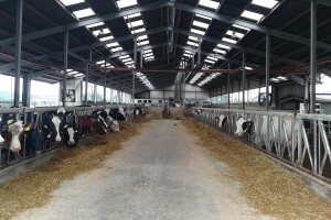 De Heus - poseta farmi u Drezdenu