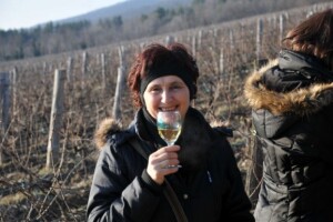 Vincelovo kod Enjingija!