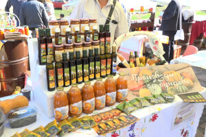 Bundeva kao izvor prihoda