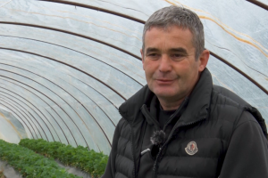 Jagodari iz Pocerine