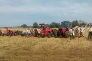 5. Županijsko natjecanje u oranju Istarske županije