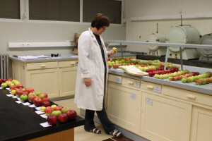 Priručnik iz voćarstva