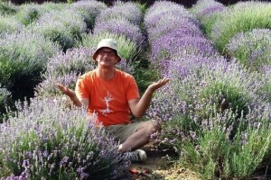 Aromatični spiralni vrtovi