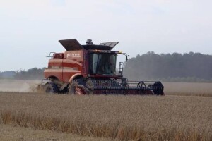 Žetva pšenice i uljane repice