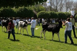 XX. stočarski i ratarski dani u Hódmezővásárhely-u
