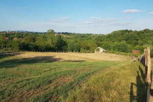 Voćnjak iz doba korone