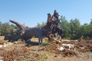 Petar Radovan, diplomirani agronom i predsjednik udruge Istramet