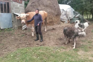 OPG Ljubica Zarić