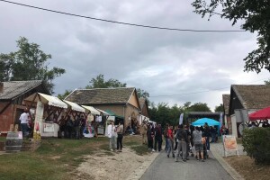 Vinski Bor maraton Zmajevac